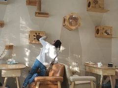 -藏猫猫咖啡主题馆(中央大道店)
