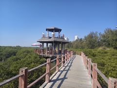 -北海金海湾红树林生态旅游区