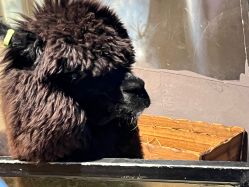 -酷嗒动物文化乐园(cutezoo西溪乐天城店)