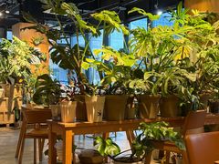 -1861意大利餐厅(文化广场店)