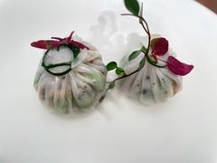 -觀芷隐轩