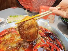 -渝大龙重庆火锅(温泉月亮湾店)