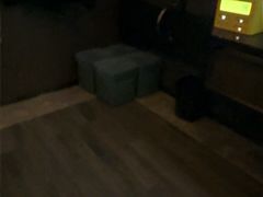 -索拉古贝(义乌北苑店)