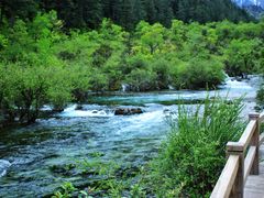 -九寨沟-树正沟