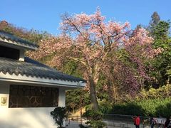 -珠海圆明新园