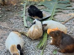 -Torch Coffee 炬点咖啡