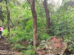 -青龙山国家森林公园