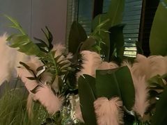 -荷栖小院·品质江西菜(红谷滩店)