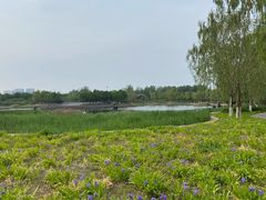 -永定河休闲森林公园