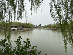 -中华孝德园