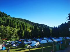 -武陵山森林公园