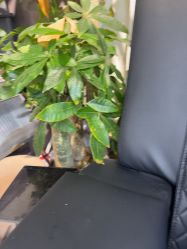 -丹曦·美甲美睫