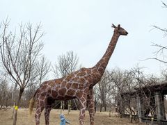 -永定河休闲森林公园