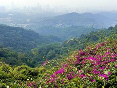 -广州市白云山风景名胜区