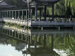 -莲花池公园