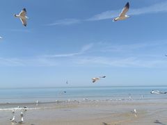 -那香海钻石沙滩浴场