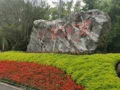 -东平国家森林公园