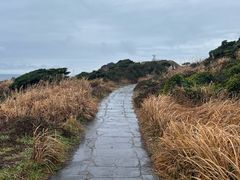 -涉地可支