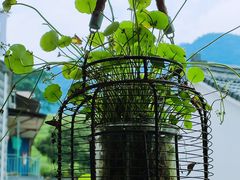 -礼耕堂·百年茶人餐厅(梅家坞店)