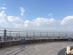 -辽宁电视塔