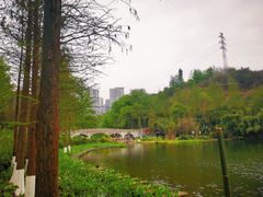 -重庆彩云湖湿地公园