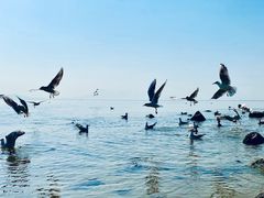 -深圳湾公园(南山区)