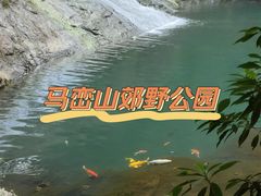 -马峦山郊野公园