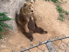 -石家庄市动物园