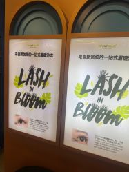 点击看大图 -Browhaus眉睫沙龙