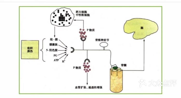 皮肤过敏是怎么发生的