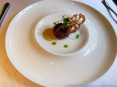 -蝶舍·MAISON PAPILLON