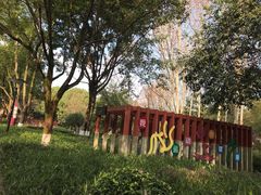 -重庆彩云湖湿地公园