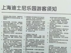 -迪士尼乐园停车场