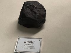 -辽宁古生物博物馆