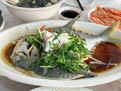 -众味海鲜大排档·活海鲜·潮汕味(南澳店)
