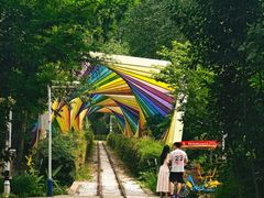 -合肥滨湖国家森林公园