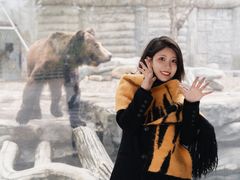 -灵玲国际马戏城
