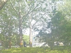 -朝阳公园游乐园