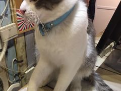 -小时光咖啡馆(开森度假森林店)