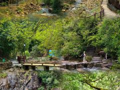 -广州白江湖森林公园