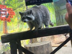 -大连圣亚海洋世界