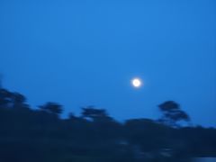 -Helens海伦司小酒馆(王家湾人信汇店)