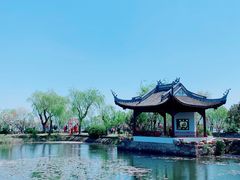 -无锡蠡湖国家湿地公园-蠡园