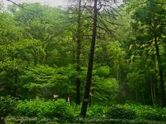 -黄公望隐居地
