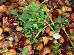 -食神又名厕所兔