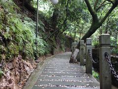-十八棵（老龙井）御茶园(老龙井店)