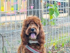 -酷鱼垂钓CLUB(朝阳区博大路店 )