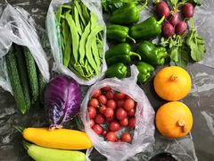 -万源龙顺度假庄园生态观光园