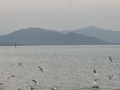 -深圳湾公园(南山区)