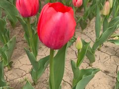 -长春公园(普阳街道)